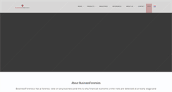 Desktop Screenshot of businessforensics.nl